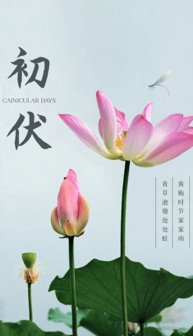 熱、熱、熱！入伏中……